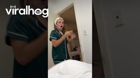 Light Switch Fail || ViralHog