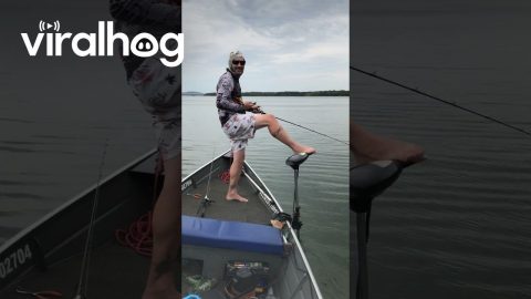 Fisherman's Phone Improbably Tumbles Into the Water || ViralHog