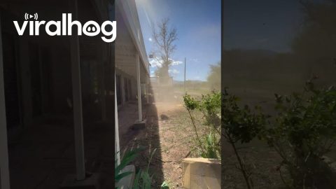 Dust Devil Forms in Family Homestead || ViralHog