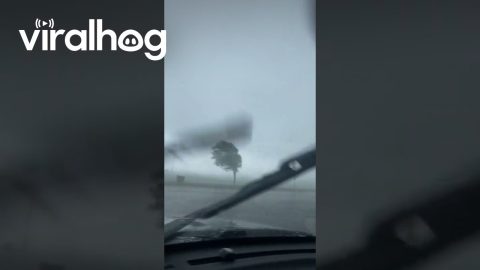 Driver Witnesses Possible Tornado in Fairmont, Minnesota || ViralHog
