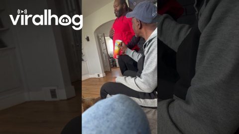 Grandpa Startled By Spring-Loaded Snake in a Can || ViralHog