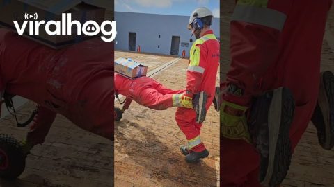 Human Wheelbarrow || ViralHog