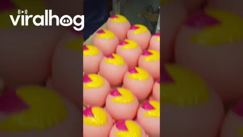 Manufacturer Paints Doll Heads || ViralHog