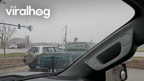 Truck Driver Forgets to Lower Bed || ViralHog