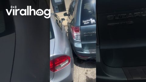 Car Parked Way Too Close || ViralHog