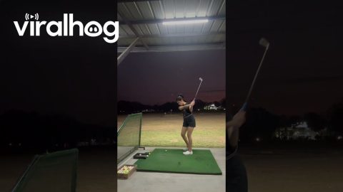 Golf Club Goes Flying || ViralHog
