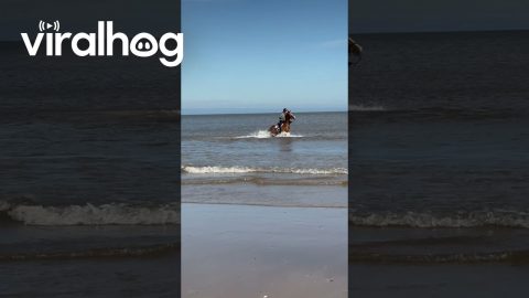 Horse Leaps Through Beachside Waves || ViralHog