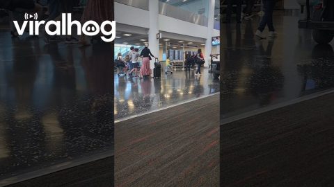 Family Rides Scooter Suitcases Through Airport || ViralHog