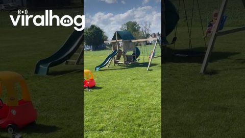 When Dad Is Put in Charge of the Kids || ViralHog