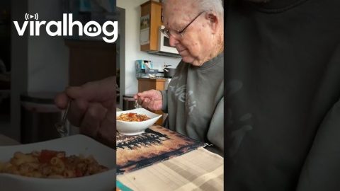 Small Spoon For Dinner || ViralHog
