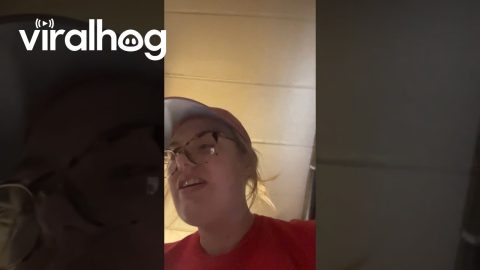 Misbehaving Dog Grins Through Scolding || ViralHog
