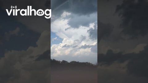 Tornado Funnel Reaches Into the Sky || ViralHog