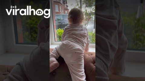 Tot's Adorable Reaction to Dad Coming Home || ViralHog