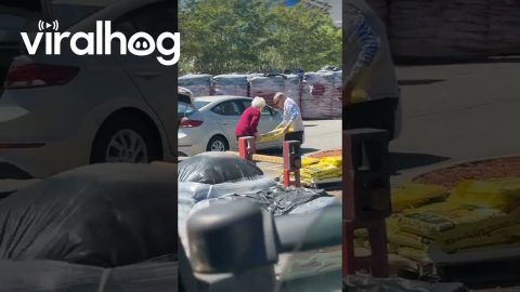 Elderly Couple Works Together || ViralHog