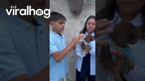 Family Baptizes Dog || ViralHog
