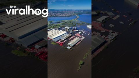 Coca-Cola Factory Floods in Brazil || ViralHog