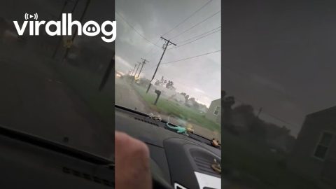 Strong Winds Blow Debris Across Road in Kansas || ViralHog