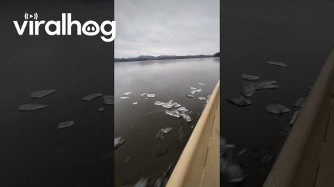 Boat Glides Through Thin Ice || ViralHog