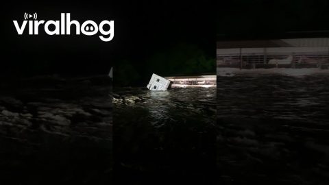 Flash Flooding in Hamilton, Texas || ViralHog