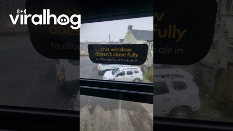 Silly Sign in Open Air Bus || ViralHog