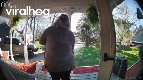 Hanging Fern Falls on Woman's Back || ViralHog