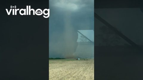 Close Encounter With a Landspout Tornado || ViralHog