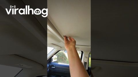 Beautiful Stained-Glass Moonroof || ViralHog