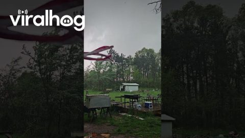 Man Watches A Tornado Pass Through His Yard || ViralHog