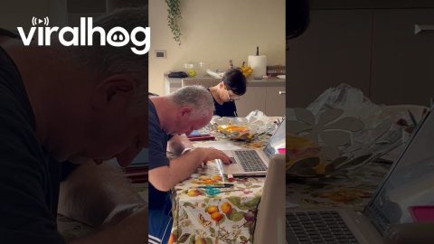 Babysitters Caught Sleeping on the Job || ViralHog