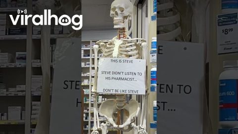 Don't Be Like Steve || ViralHog
