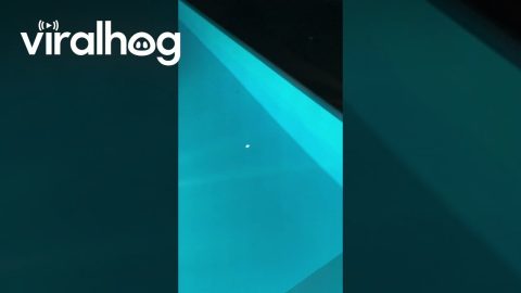 Party-Goers Watch Meteor Light Up Sky || ViralHog