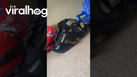 When All Your Son Needs Is the Right Motivation || ViralHog