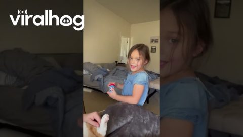 Cat Receives (Pretend) Home Wellness Visit || ViralHog