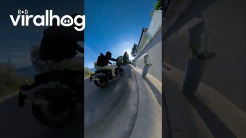 Motorcyclist's Camera Smashes Into Roadside Planter || ViralHog