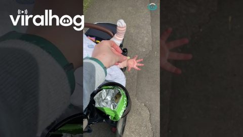 Baby has Lightning Reaction to Food | ViralHog