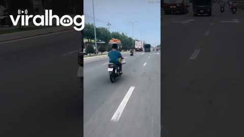 Balancing Hollow Donuts At High Speed || ViralHog