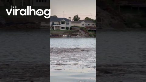 Flooding Destroys Homes on McCook Lake in South Dakota || ViralHog