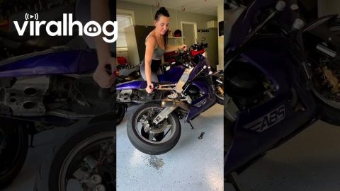 Woman Loses Grip On Her Motorcycle || ViralHog