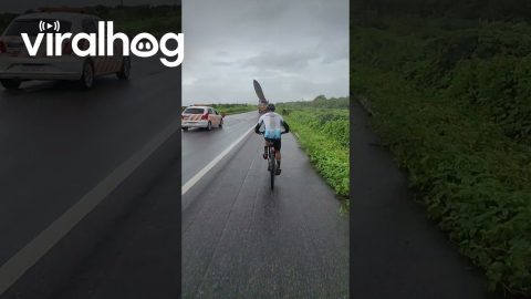Cyclist Passed By Giant Wind Turbine Blade || ViralHog