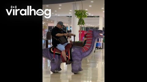 Man Rides Dinosaur Through Shopping Center || ViralHog