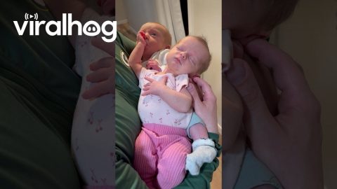 Baby Boy Sucks on Twin Sister's Thumb || ViralHog