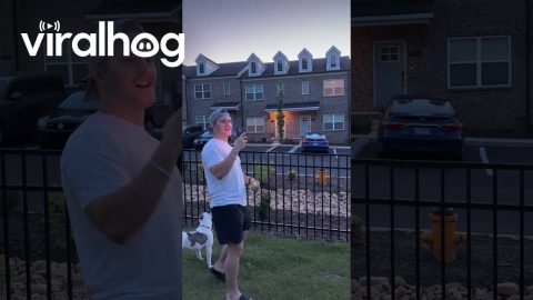Dog Eats a Firefly || ViralHog