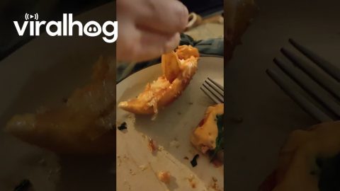 Dog Demands His Fries With Sauce || ViralHog