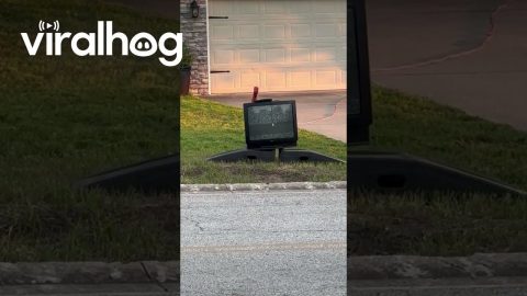 Neighbor's Old Television Ominously Crackles || ViralHog