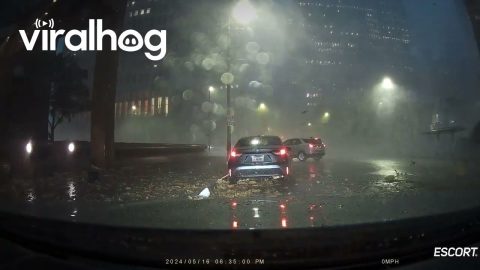 Driver Takes Shelter From Houston Tornado In Vehicle || ViralHog
