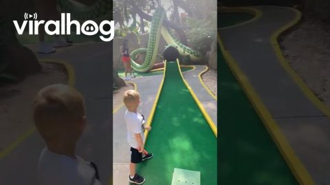Casually Crazy Miniature Golf Hole-In-One || ViralHog