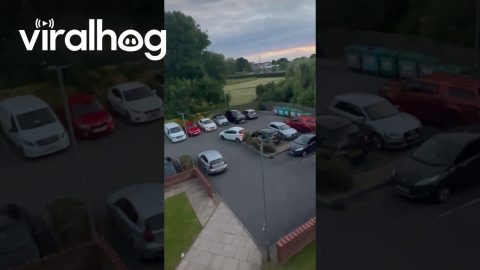 Driver Crashes Into Other Cars While Leaving Parking Lot || ViralHog