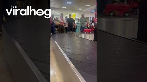 Lightning Rounds The Baggage Carousel || ViralHog