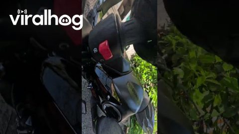 Motorcycle Rider Takes It A Bit Too Wide || ViralHog