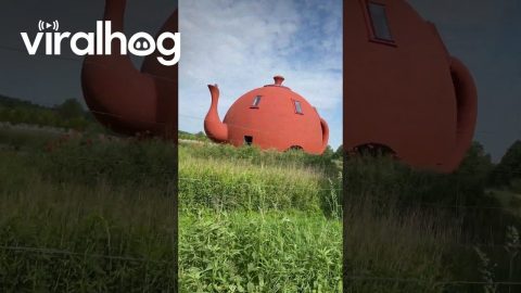 Teapot House in Poland || ViralHog